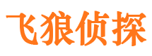 嘉黎市调查公司